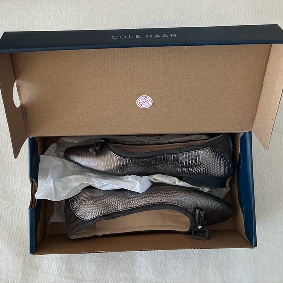 COLE HAAN METALLIC BALLET FLATS